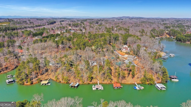 aerial view featuring a wooded view and a water view