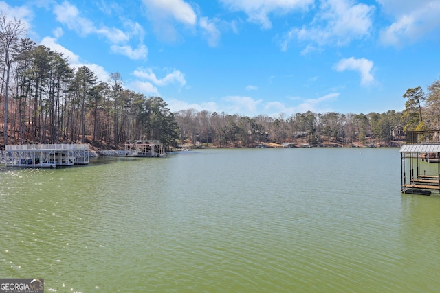 view of water feature featuring a floating dock