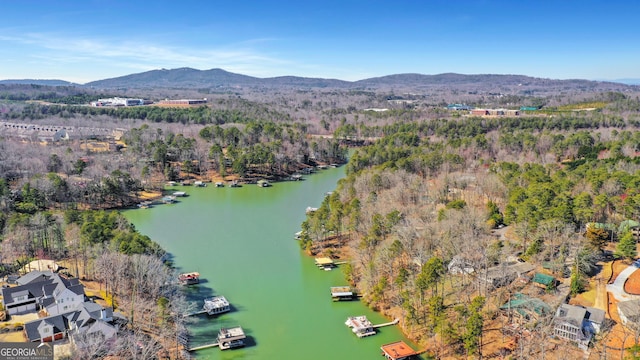 birds eye view of property featuring a wooded view and a water and mountain view