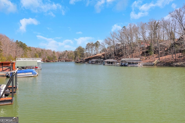 property view of water with a dock