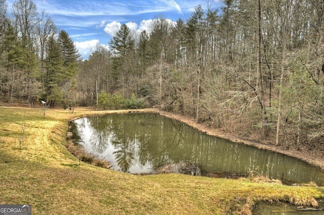 view of water feature featuring a forest view