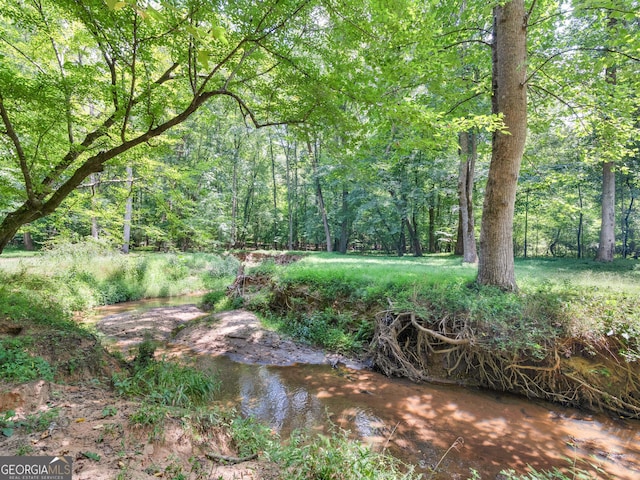 view of local wilderness with a view of trees