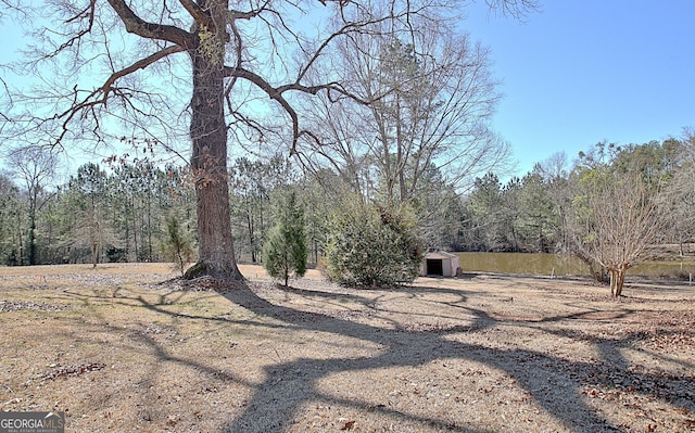 view of yard featuring an outdoor structure, a view of trees, and a storage unit