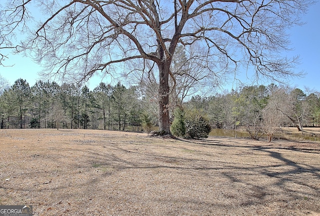 exterior space with a view of trees