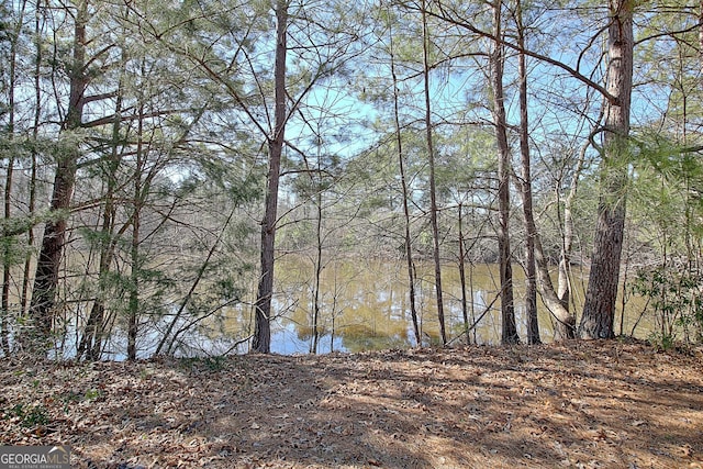 water view with a view of trees