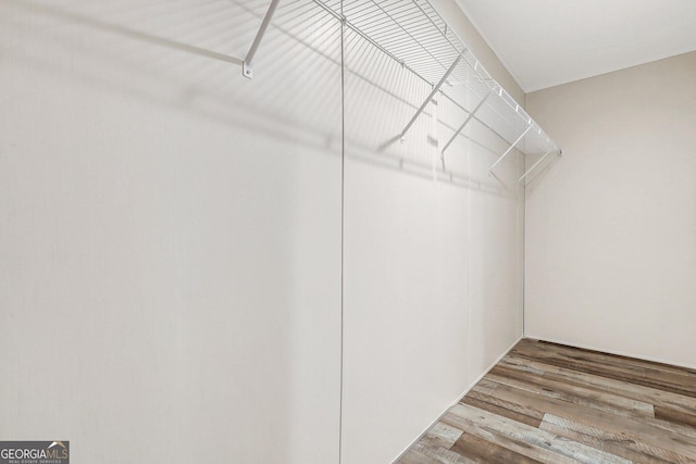 spacious closet featuring wood finished floors