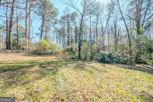 3524 Exeter Ct, Snellville, GA 30039 - view of yard