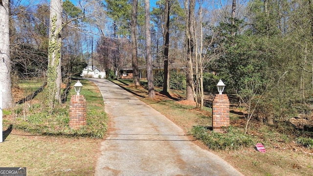 view of road with driveway and street lights