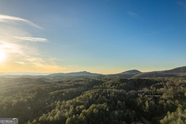 view of mountain feature with a view of trees