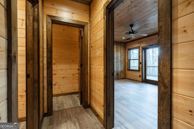 hallway featuring wood ceiling, wood walls, and wood finished floors