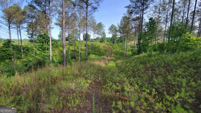 Listing photo 3 for LOT27 Hillside Ln, Ellijay GA 30540