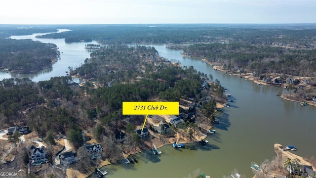 bird's eye view featuring a water view and a wooded view