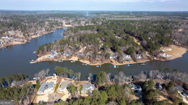 drone / aerial view with a water view and a view of trees