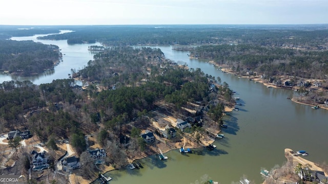 bird's eye view featuring a water view and a wooded view