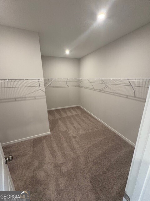 203 Park View Ln, Kingsland, GA 31548 - walk in closet featuring carpet