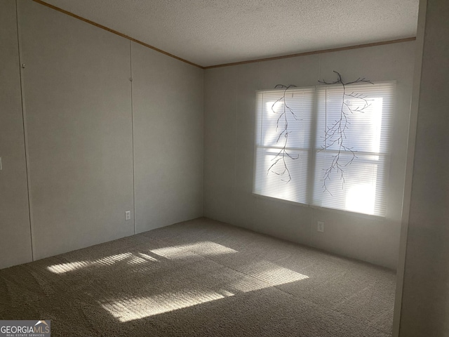 unfurnished room featuring ornamental molding, a healthy amount of sunlight, a textured ceiling, and carpet flooring