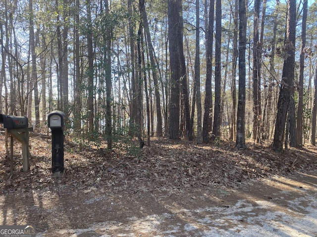 view of local wilderness