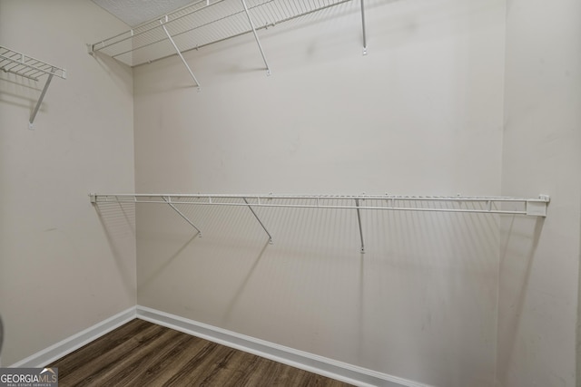 walk in closet with wood finished floors