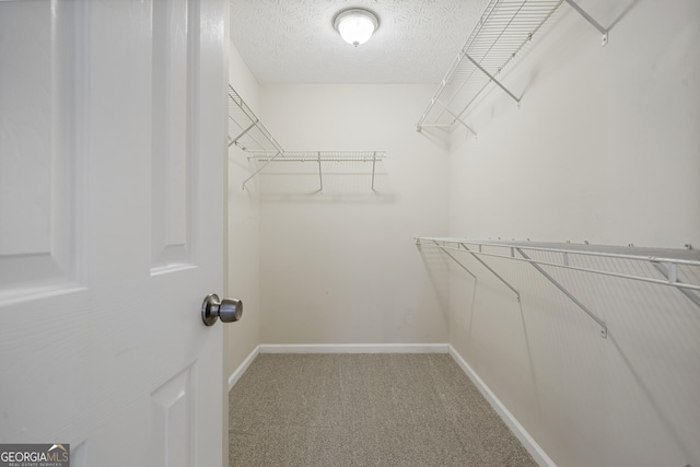 spacious closet with light colored carpet