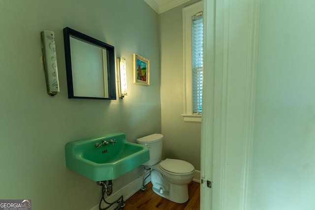 bathroom featuring a sink, wood finished floors, toilet, and baseboards