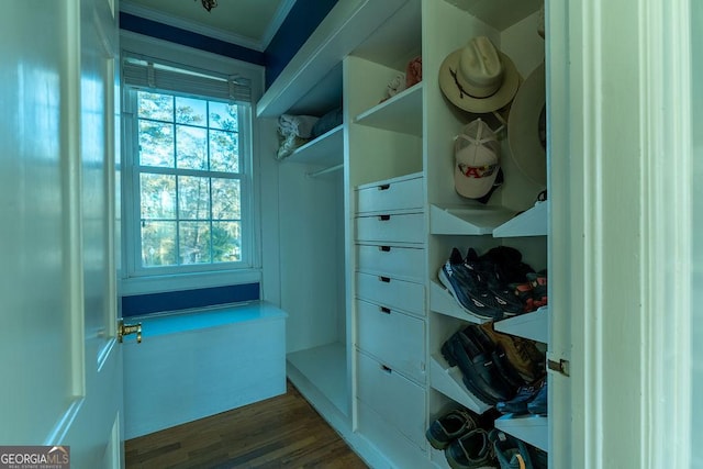 walk in closet featuring dark wood finished floors