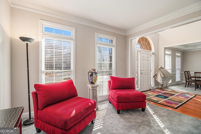 living area with ornamental molding and baseboards