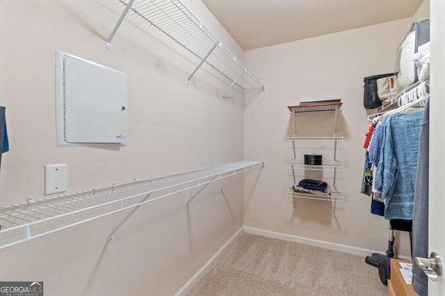 spacious closet with carpet