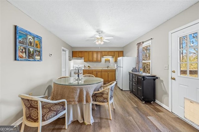 dining room featuring a textured ceiling, ceiling fan, light wood-style flooring, and baseboards