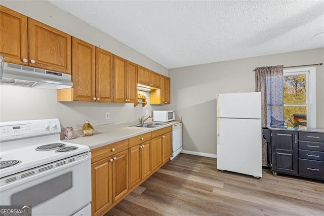 kitchen with light countertops, a sink, light wood-type flooring, white appliances, and under cabinet range hood