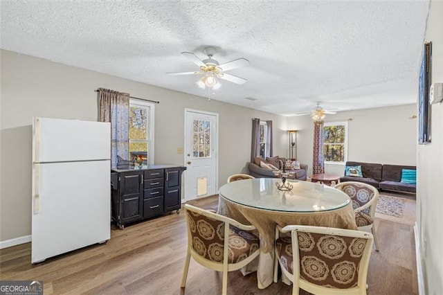 dining area with a ceiling fan, light wood-type flooring, and a textured ceiling