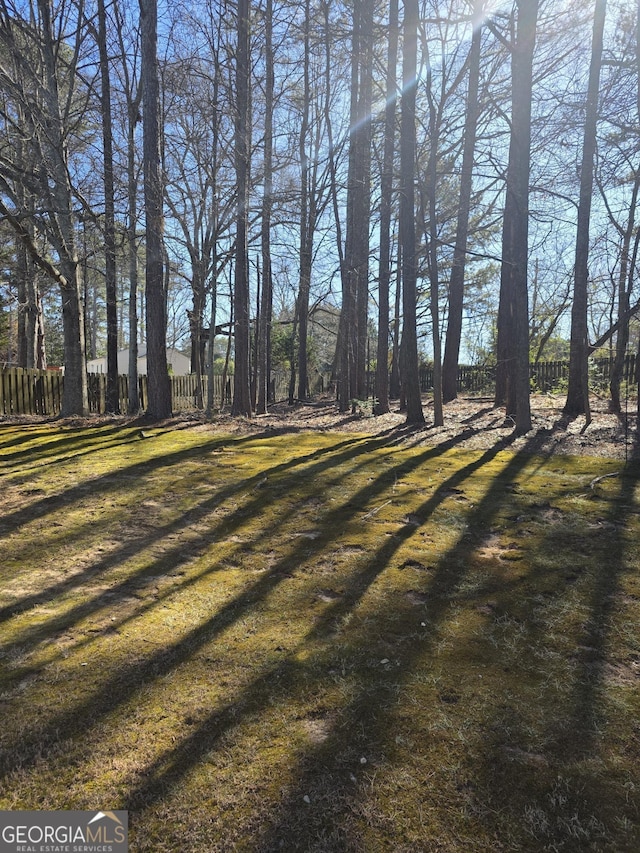 view of yard with fence