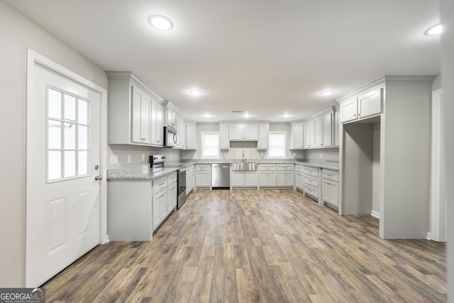 kitchen featuring recessed lighting, stainless steel appliances, a sink, and wood finished floors