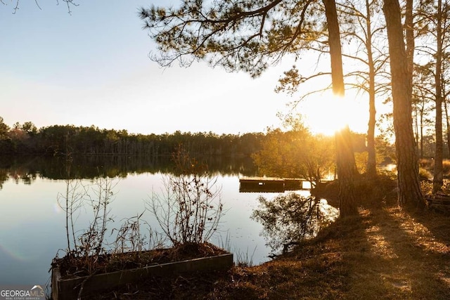 water view with a wooded view