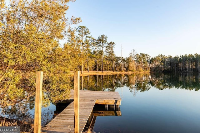 dock area featuring a water view