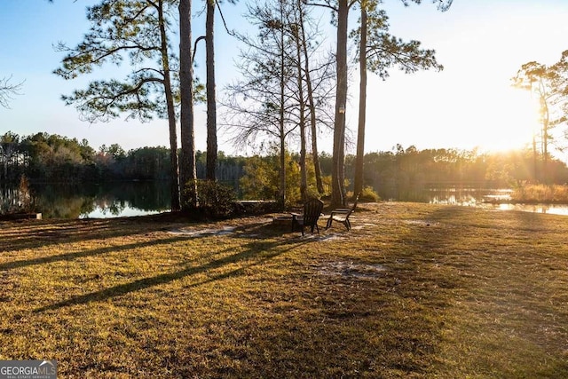 view of yard with a water view and a wooded view