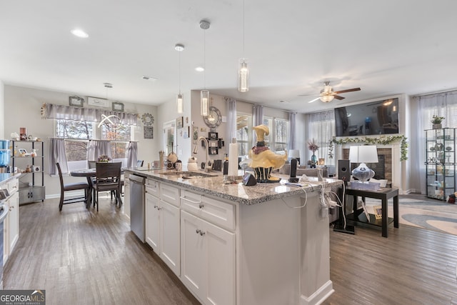 kitchen with dark wood finished floors, a fireplace, stainless steel dishwasher, white cabinets, and a sink