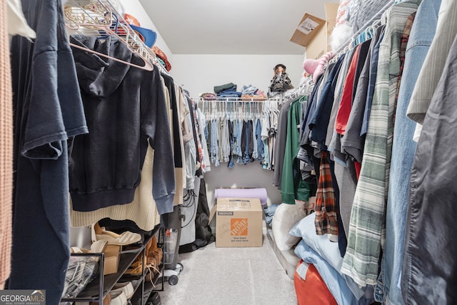 walk in closet with carpet