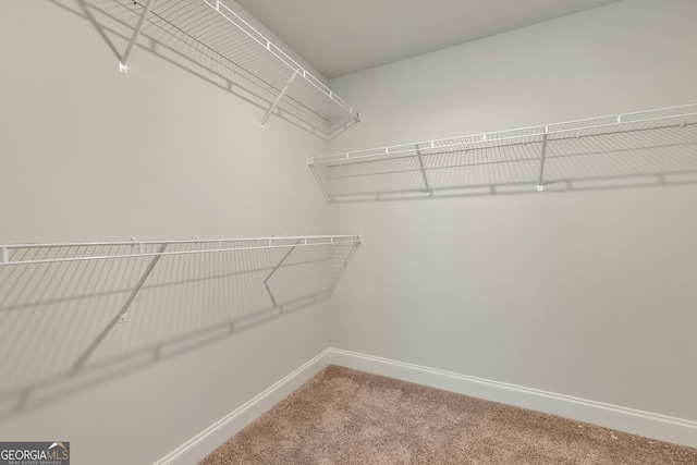 spacious closet with carpet floors