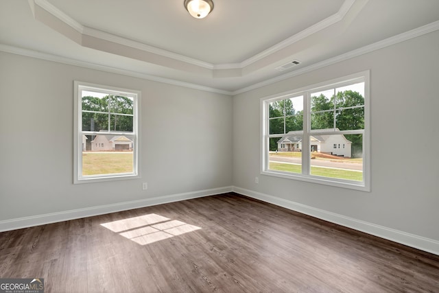 unfurnished room with baseboards, a tray ceiling, dark wood-style flooring, and a healthy amount of sunlight