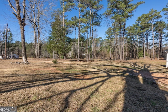 view of yard