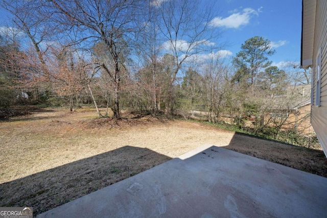 view of yard with a patio area