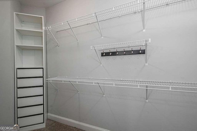 spacious closet featuring dark colored carpet