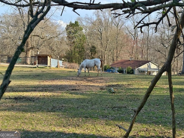 view of yard with a rural view