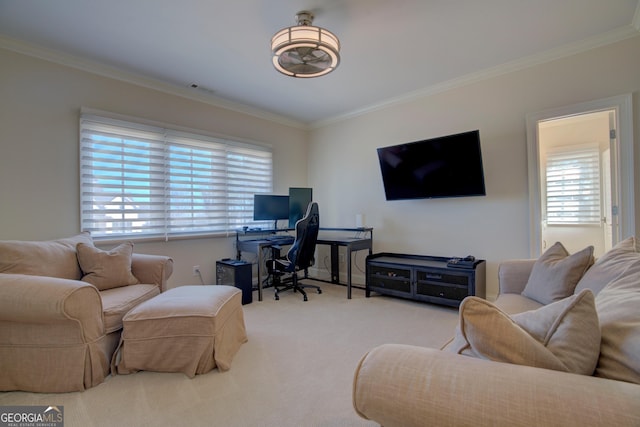 interior space featuring carpet flooring and crown molding