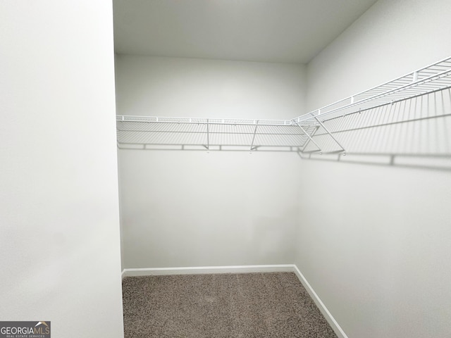 walk in closet featuring carpet floors