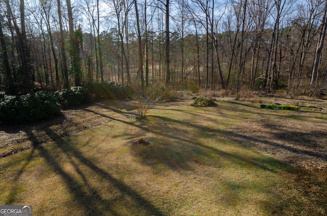 view of yard featuring a wooded view