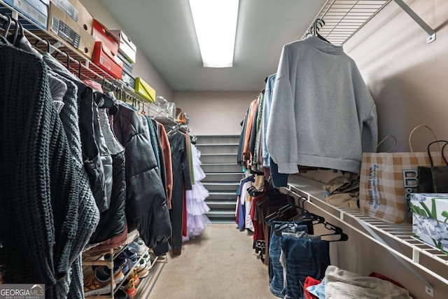 walk in closet featuring carpet flooring