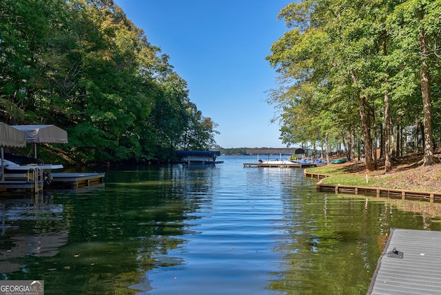 dock area featuring a water view