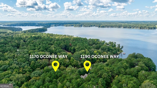 drone / aerial view featuring a forest view and a water view