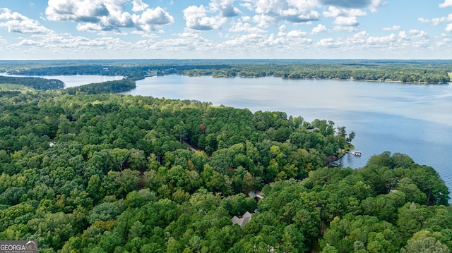 drone / aerial view with a water view and a wooded view